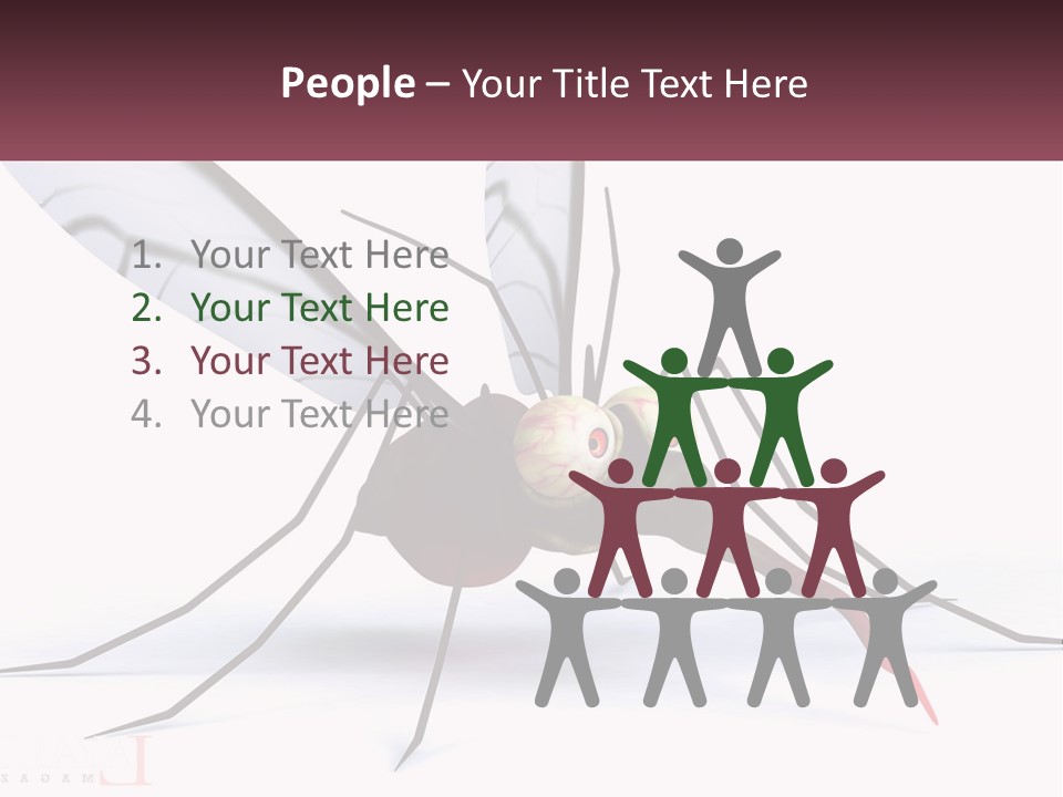 A Mosquito With Two Eyes On It's Body PowerPoint Template