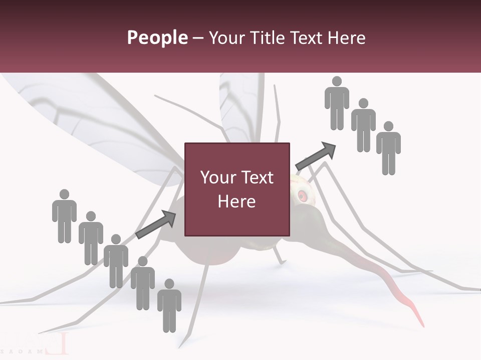 A Mosquito With Two Eyes On It's Body PowerPoint Template