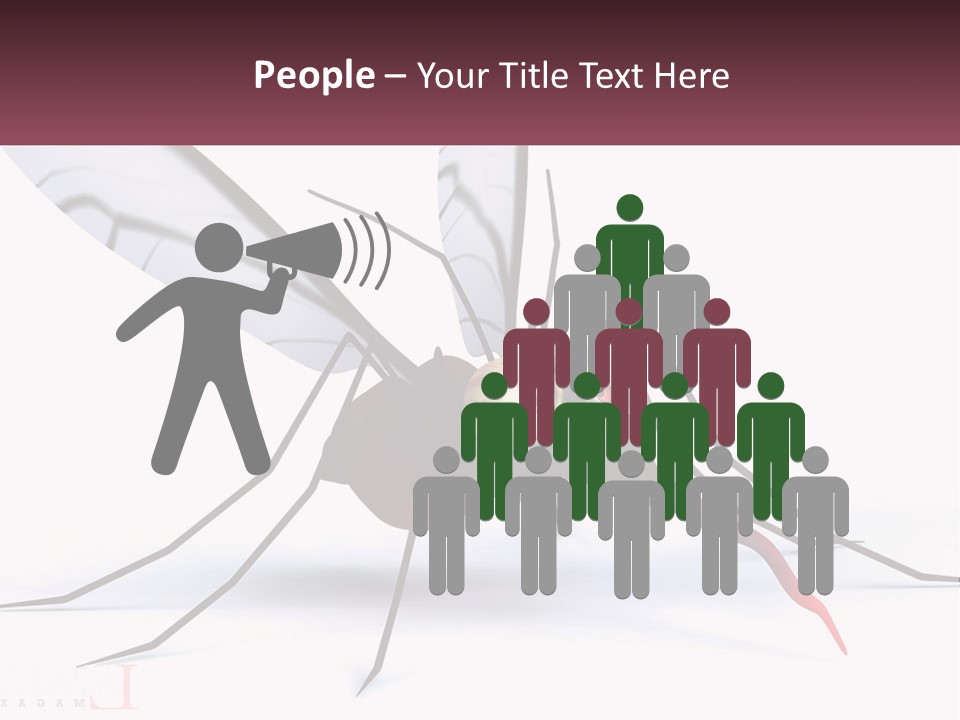 A Mosquito With Two Eyes On It's Body PowerPoint Template