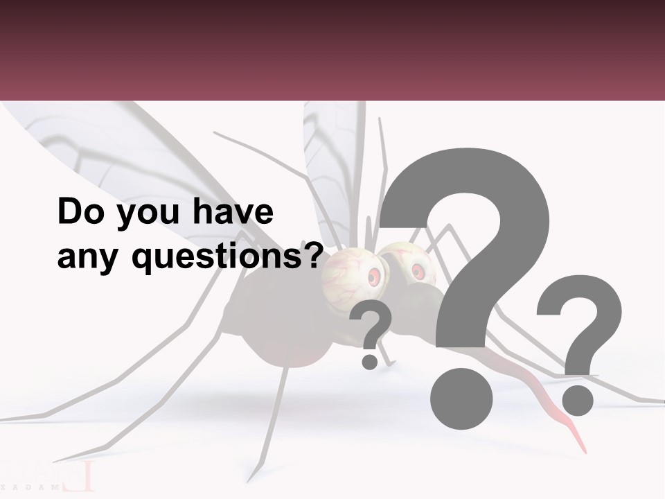 A Mosquito With Two Eyes On It's Body PowerPoint Template