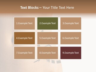 A Woman's Stomach With A Clock On It PowerPoint Template