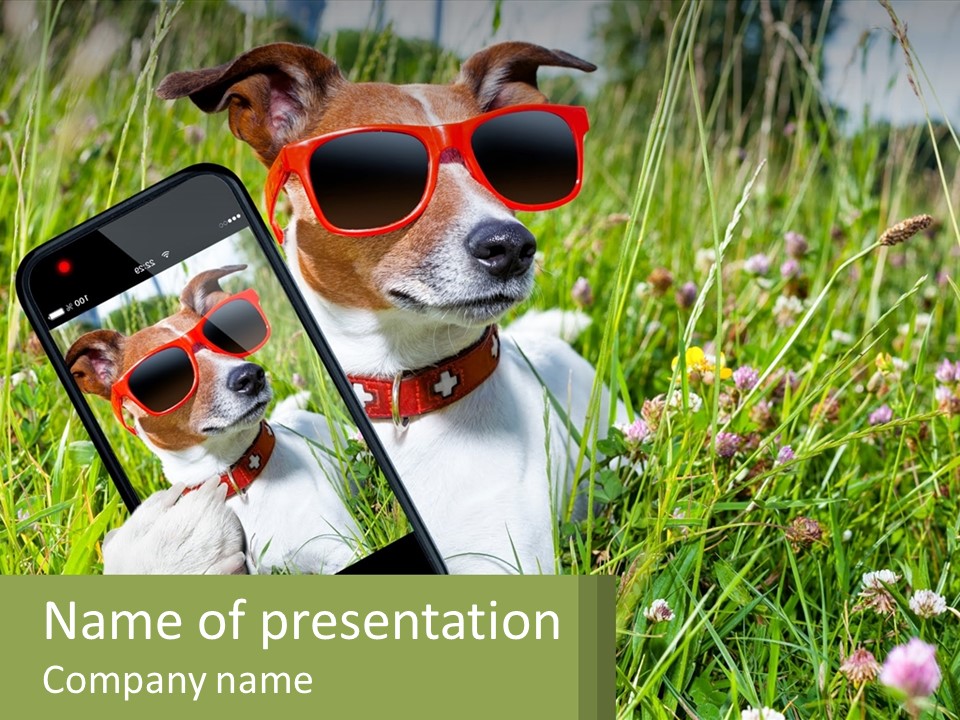A Dog Wearing Sunglasses And Holding A Cell Phone PowerPoint Template