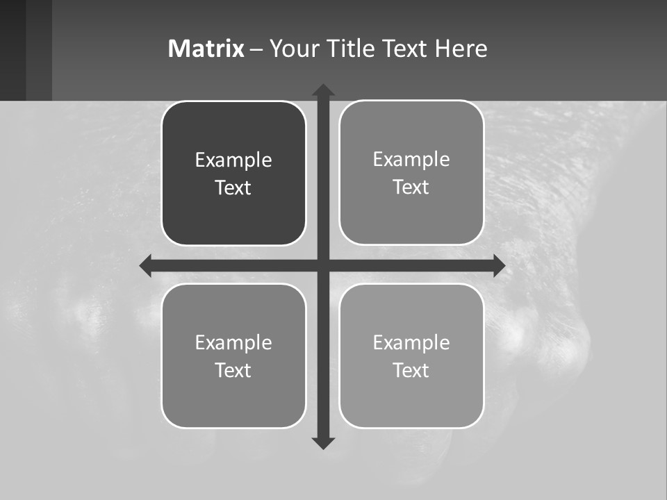 A Black And White Photo Of Two Hands Holding Something PowerPoint Template