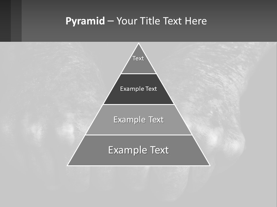 A Black And White Photo Of Two Hands Holding Something PowerPoint Template