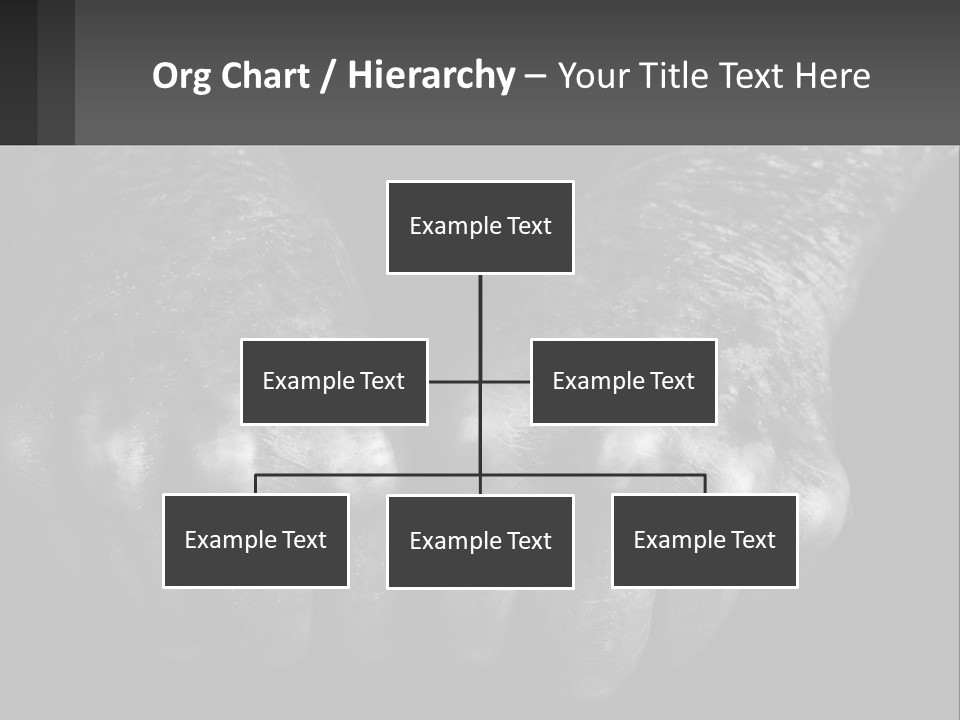 A Black And White Photo Of Two Hands Holding Something PowerPoint Template