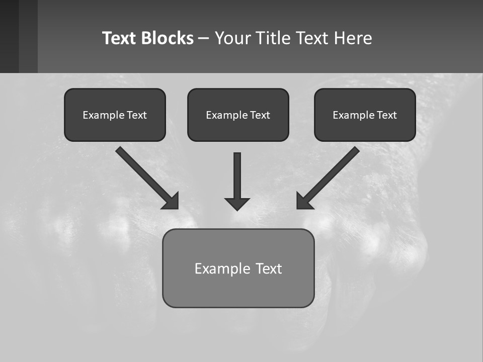 A Black And White Photo Of Two Hands Holding Something PowerPoint Template