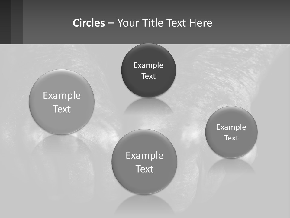 A Black And White Photo Of Two Hands Holding Something PowerPoint Template