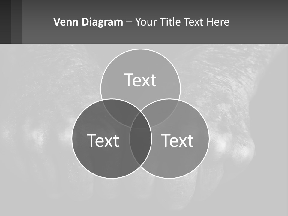 A Black And White Photo Of Two Hands Holding Something PowerPoint Template