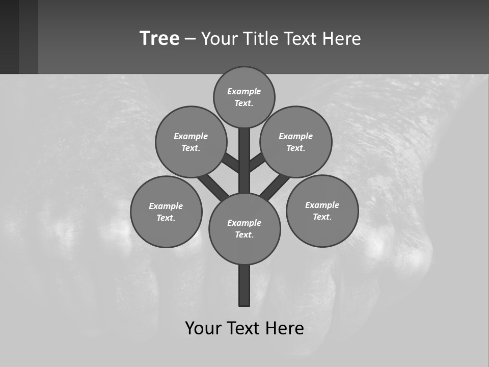 A Black And White Photo Of Two Hands Holding Something PowerPoint Template