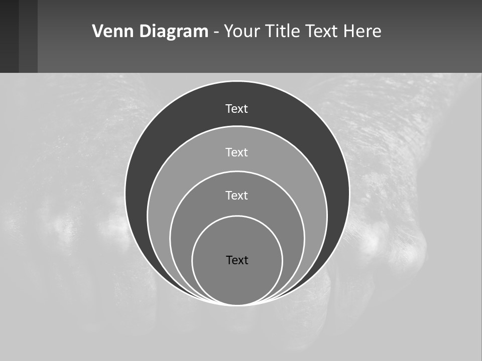 A Black And White Photo Of Two Hands Holding Something PowerPoint Template