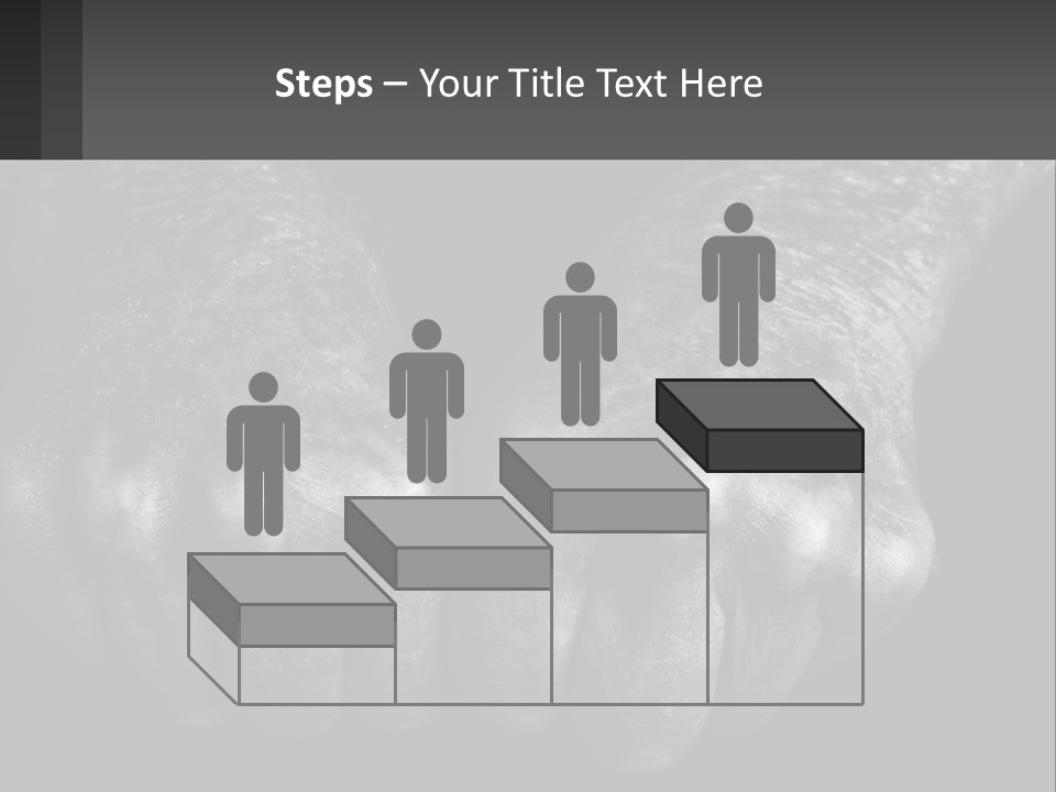 A Black And White Photo Of Two Hands Holding Something PowerPoint Template