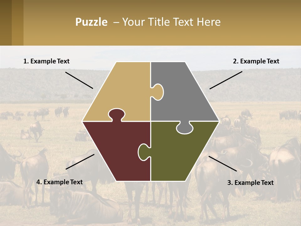 A Large Herd Of Wildebeest Grazing In A Field PowerPoint Template