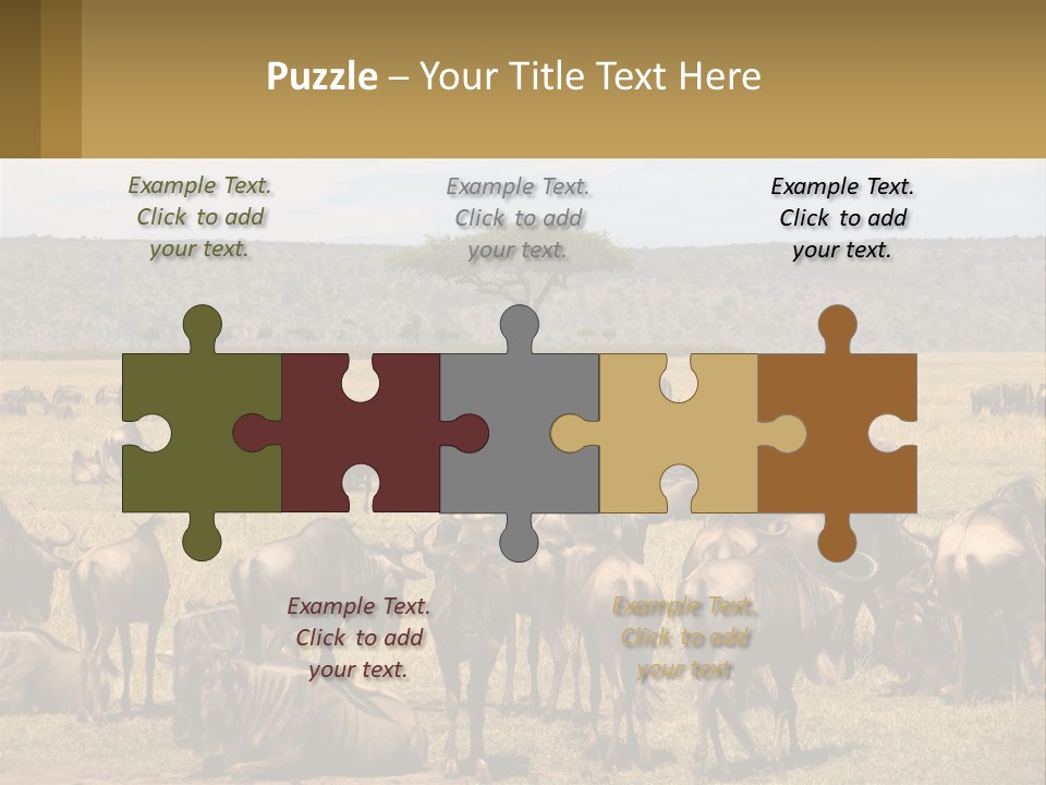 A Large Herd Of Wildebeest Grazing In A Field PowerPoint Template