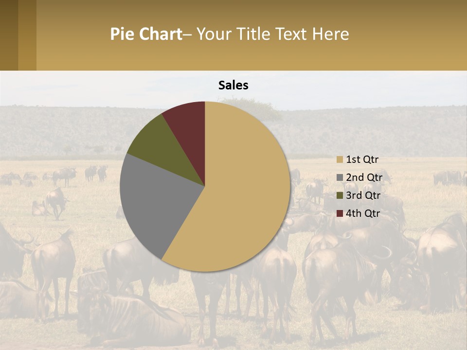 A Large Herd Of Wildebeest Grazing In A Field PowerPoint Template