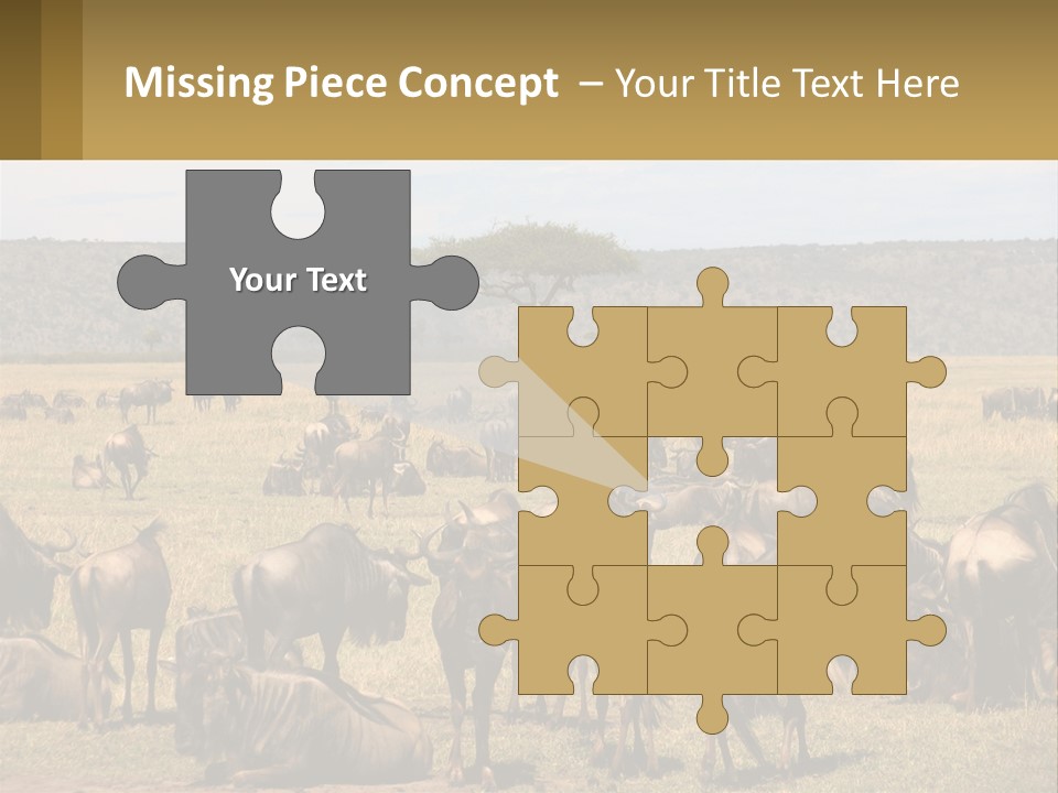 A Large Herd Of Wildebeest Grazing In A Field PowerPoint Template