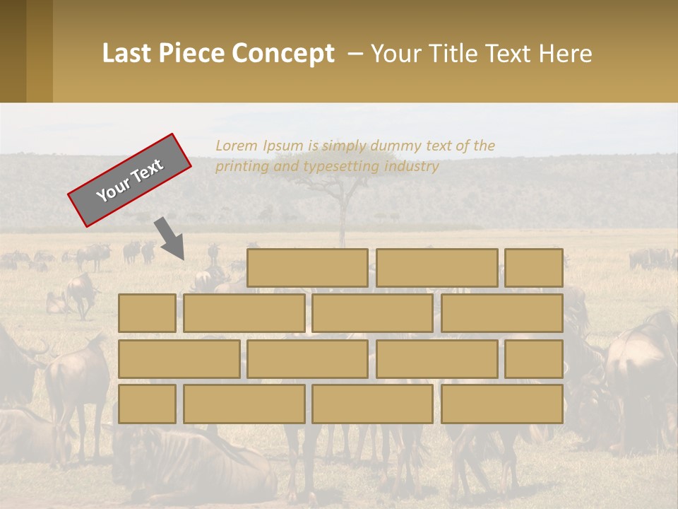 A Large Herd Of Wildebeest Grazing In A Field PowerPoint Template
