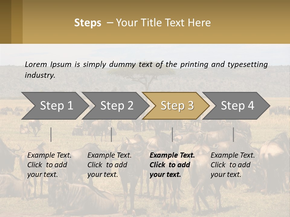 A Large Herd Of Wildebeest Grazing In A Field PowerPoint Template