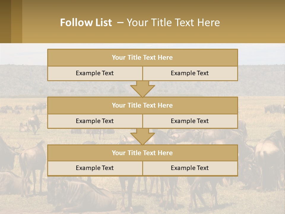A Large Herd Of Wildebeest Grazing In A Field PowerPoint Template