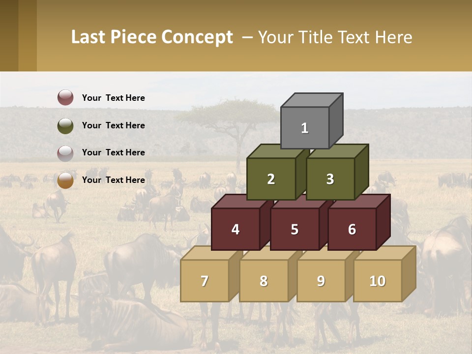 A Large Herd Of Wildebeest Grazing In A Field PowerPoint Template