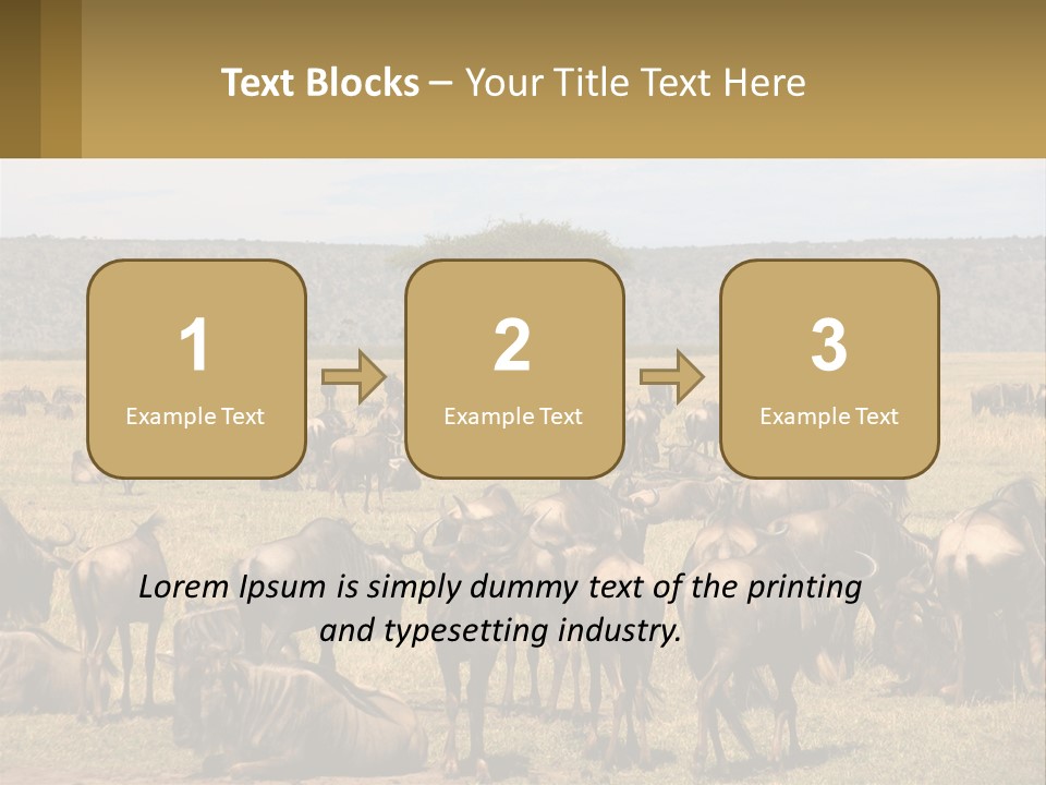 A Large Herd Of Wildebeest Grazing In A Field PowerPoint Template