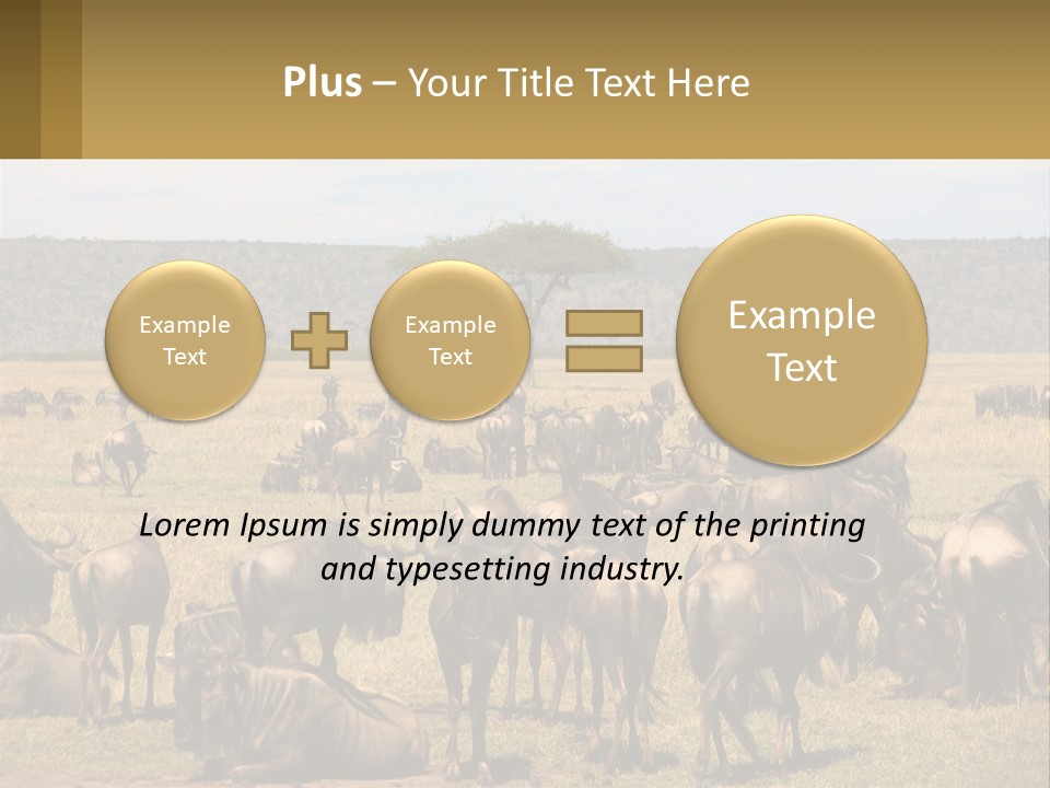 A Large Herd Of Wildebeest Grazing In A Field PowerPoint Template