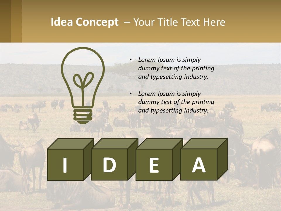 A Large Herd Of Wildebeest Grazing In A Field PowerPoint Template