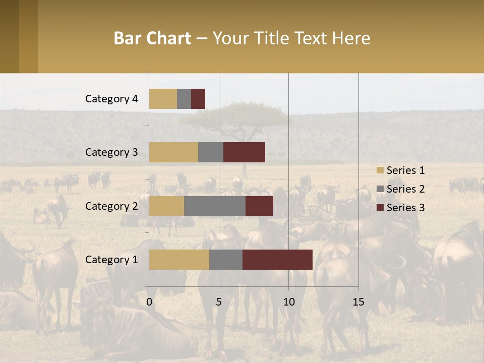 A Large Herd Of Wildebeest Grazing In A Field PowerPoint Template
