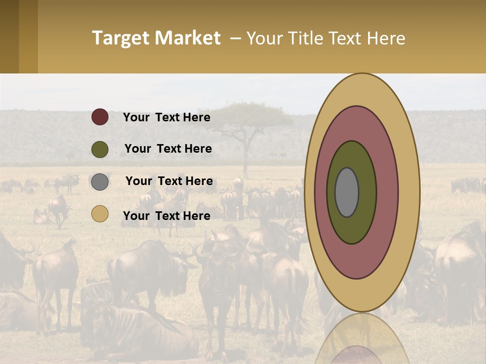 A Large Herd Of Wildebeest Grazing In A Field PowerPoint Template