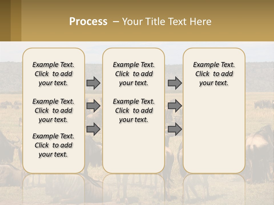 A Large Herd Of Wildebeest Grazing In A Field PowerPoint Template