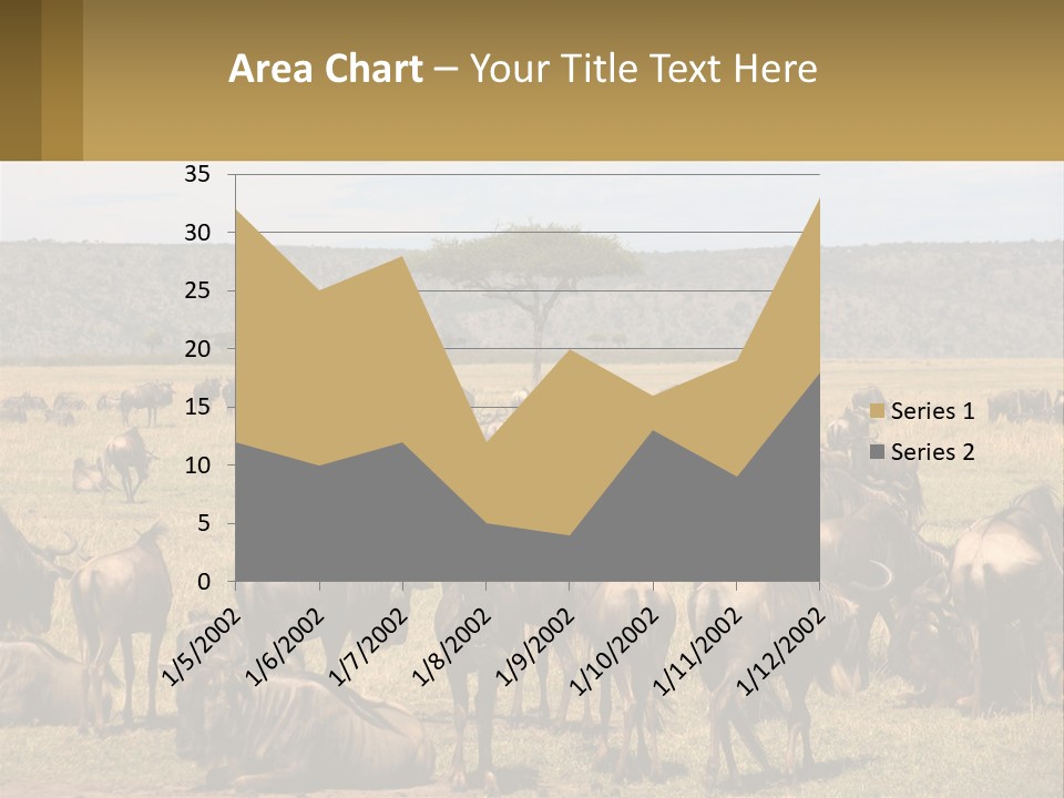 A Large Herd Of Wildebeest Grazing In A Field PowerPoint Template