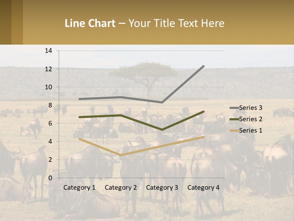 A Large Herd Of Wildebeest Grazing In A Field PowerPoint Template