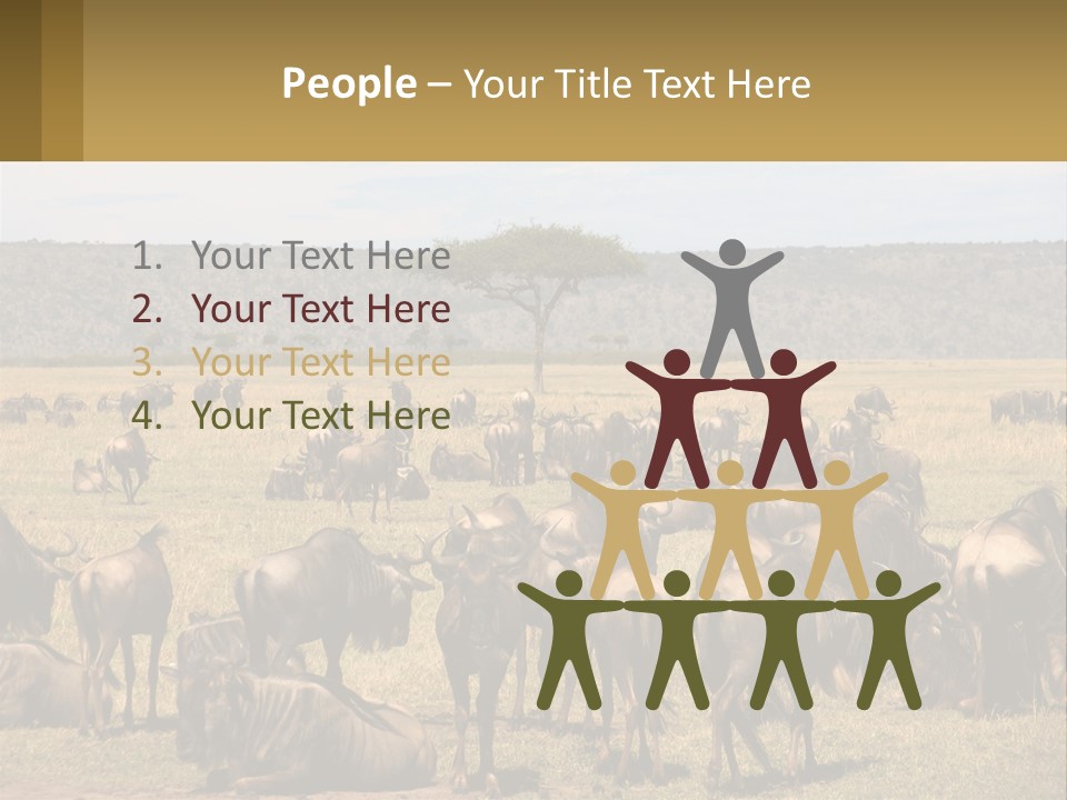 A Large Herd Of Wildebeest Grazing In A Field PowerPoint Template