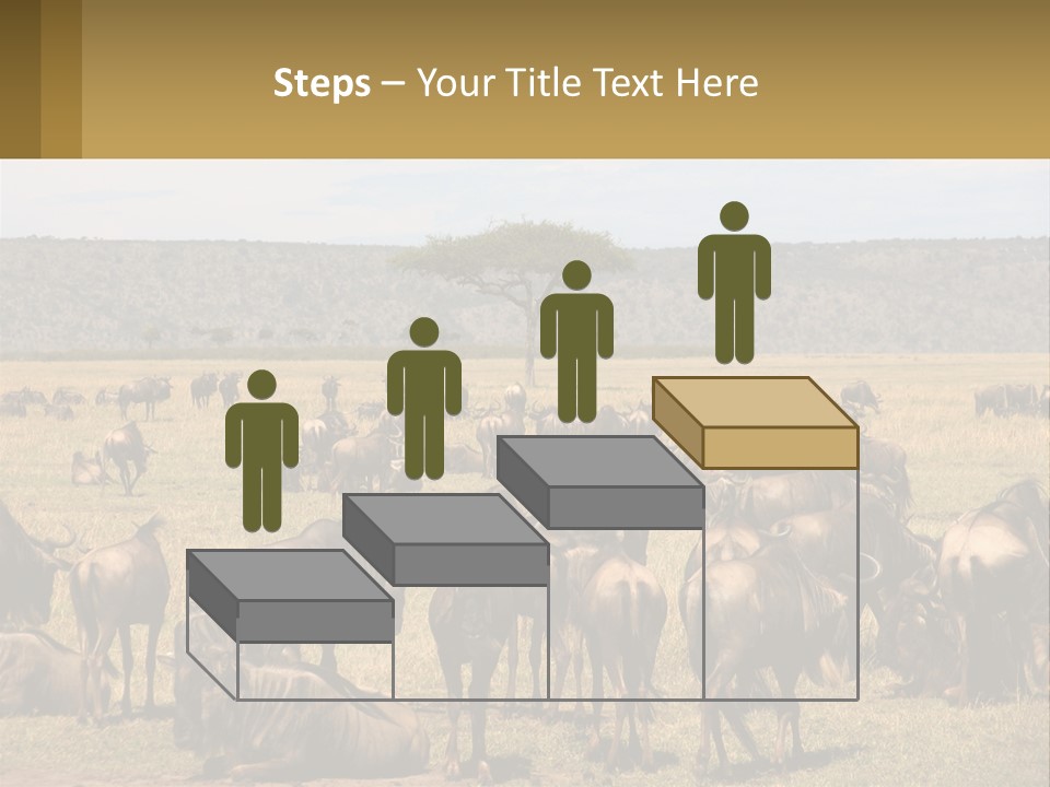 A Large Herd Of Wildebeest Grazing In A Field PowerPoint Template