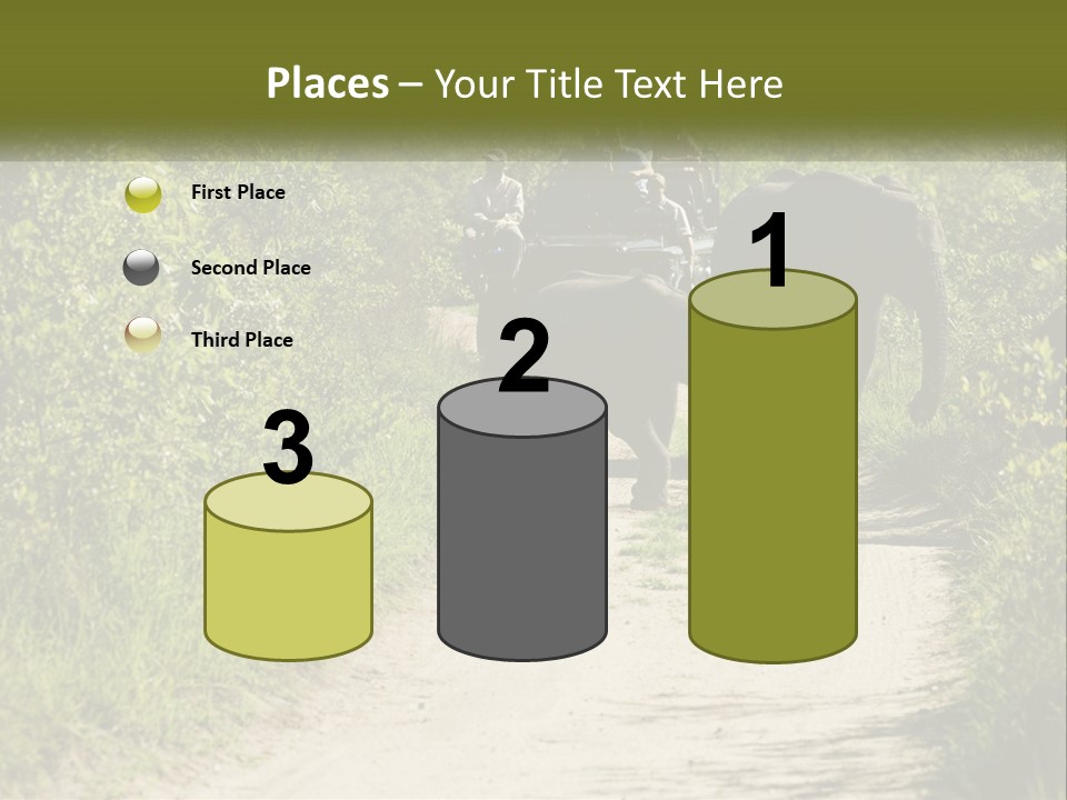 A Group Of Elephants Walking Down A Dirt Road PowerPoint Template