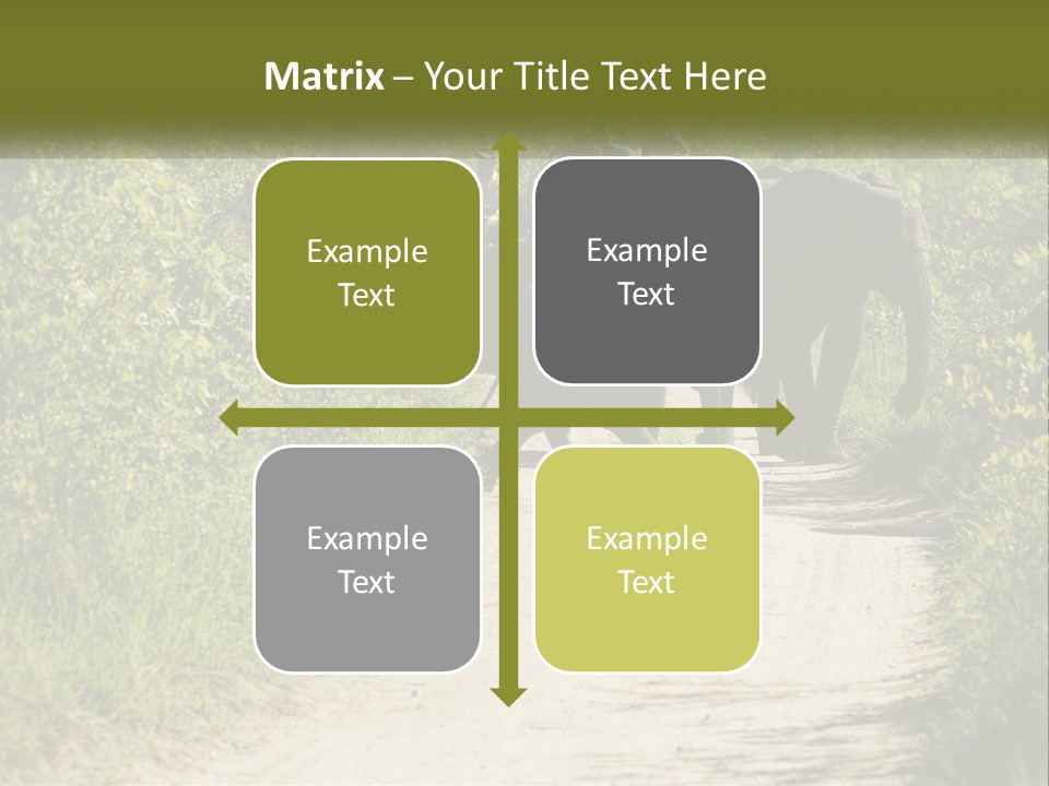 A Group Of Elephants Walking Down A Dirt Road PowerPoint Template
