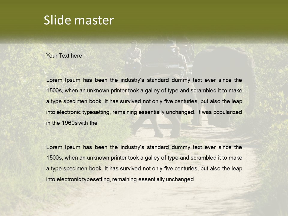 A Group Of Elephants Walking Down A Dirt Road PowerPoint Template