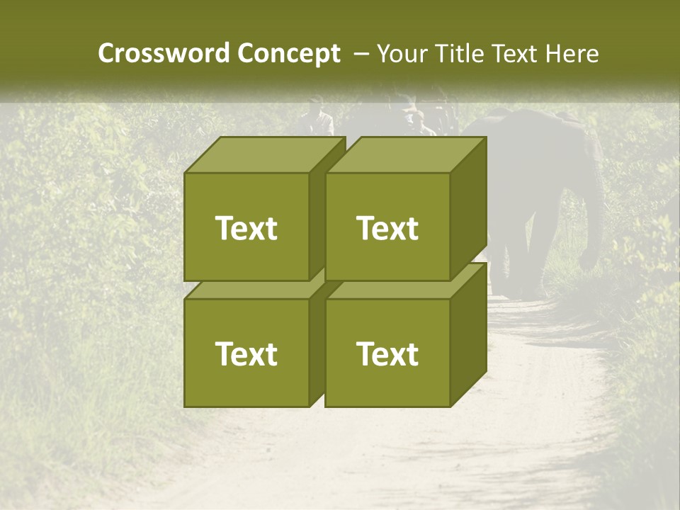 A Group Of Elephants Walking Down A Dirt Road PowerPoint Template