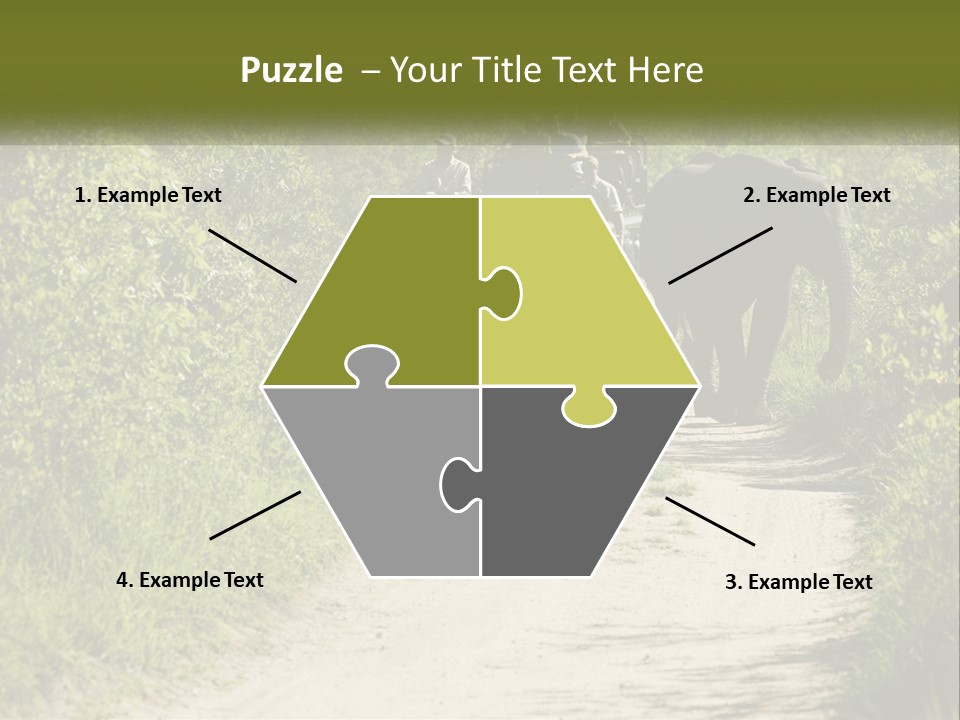 A Group Of Elephants Walking Down A Dirt Road PowerPoint Template