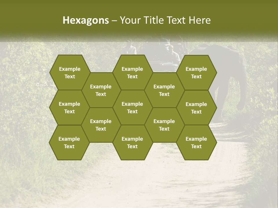 A Group Of Elephants Walking Down A Dirt Road PowerPoint Template