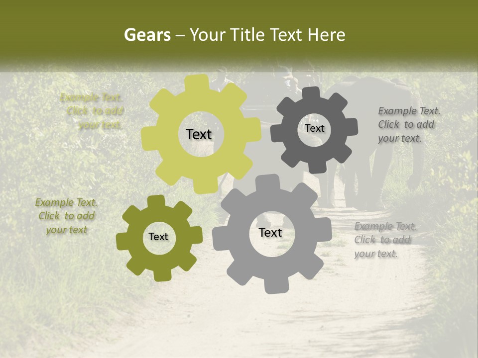 A Group Of Elephants Walking Down A Dirt Road PowerPoint Template