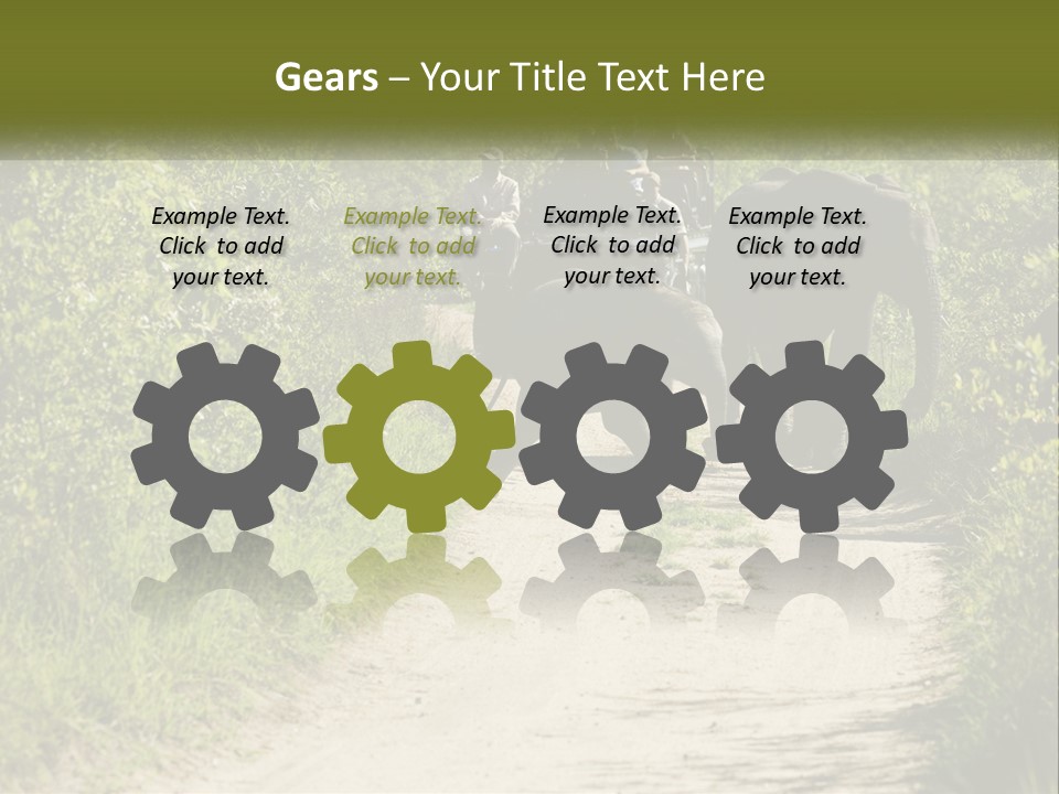 A Group Of Elephants Walking Down A Dirt Road PowerPoint Template