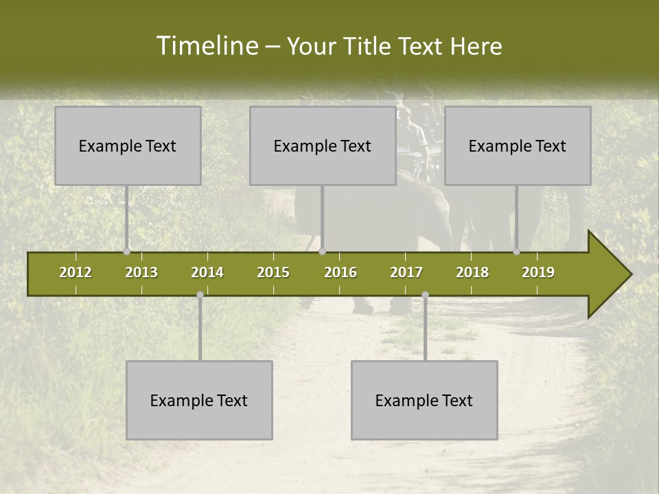 A Group Of Elephants Walking Down A Dirt Road PowerPoint Template