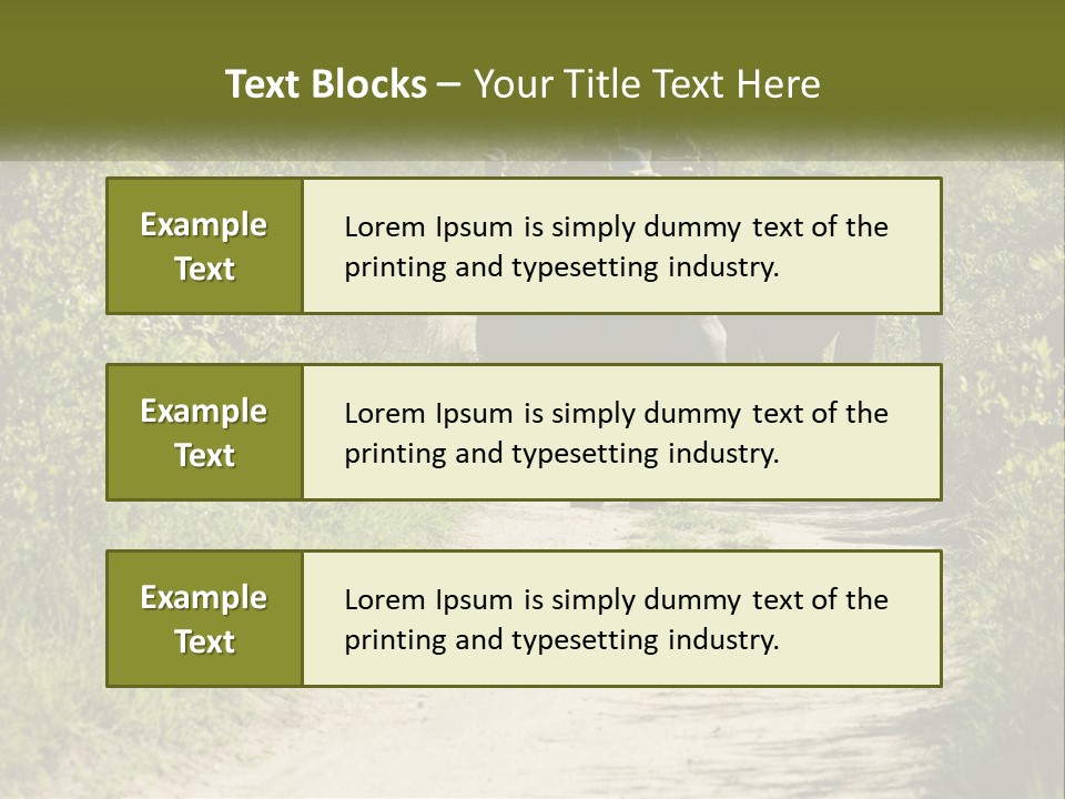 A Group Of Elephants Walking Down A Dirt Road PowerPoint Template