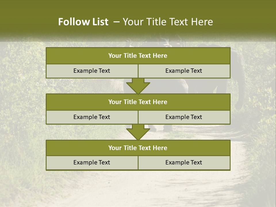 A Group Of Elephants Walking Down A Dirt Road PowerPoint Template