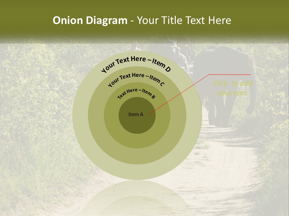 A Group Of Elephants Walking Down A Dirt Road PowerPoint Template