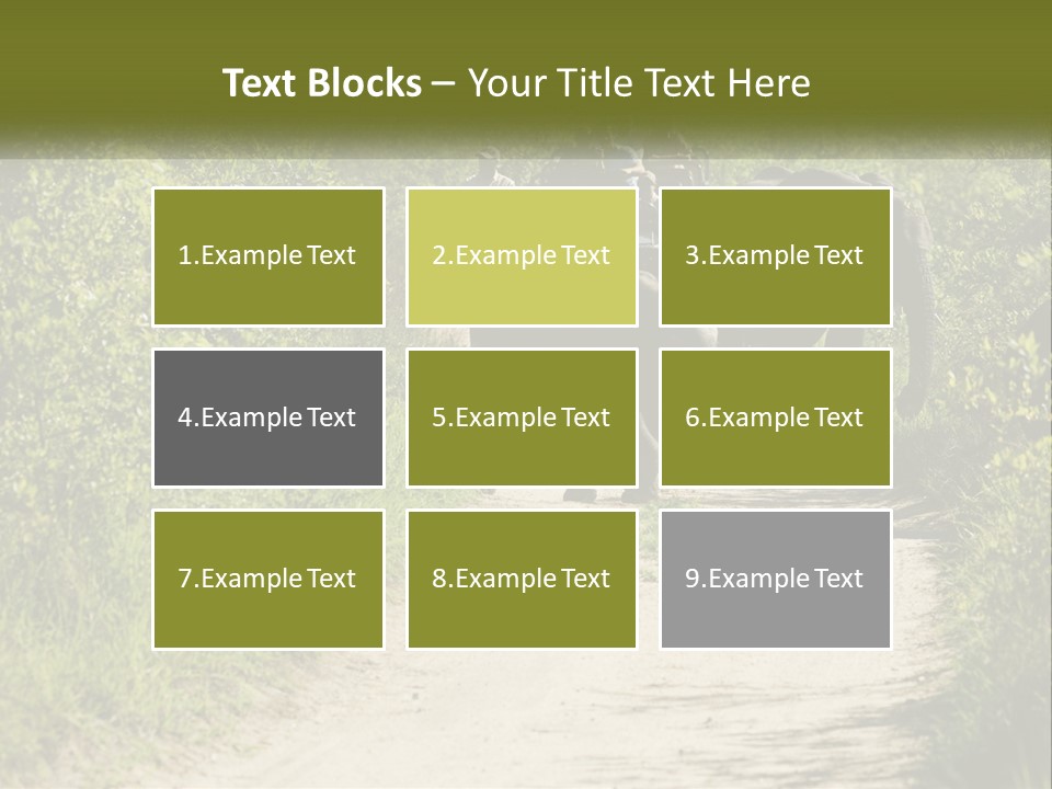 A Group Of Elephants Walking Down A Dirt Road PowerPoint Template