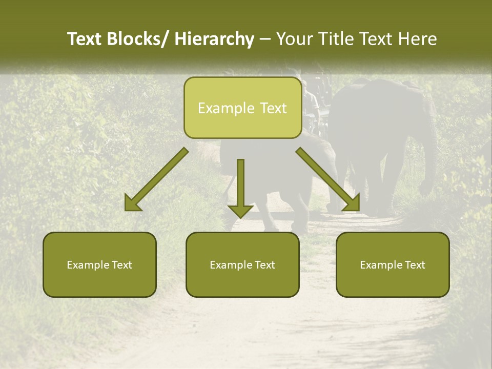 A Group Of Elephants Walking Down A Dirt Road PowerPoint Template