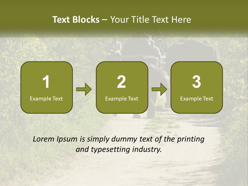 A Group Of Elephants Walking Down A Dirt Road PowerPoint Template