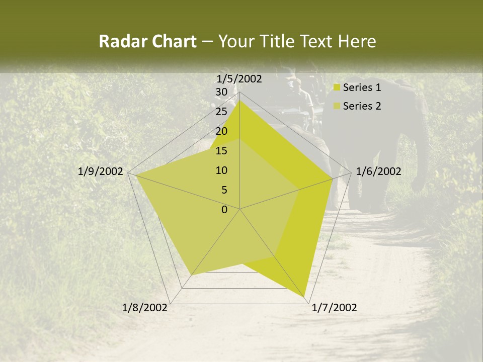 A Group Of Elephants Walking Down A Dirt Road PowerPoint Template