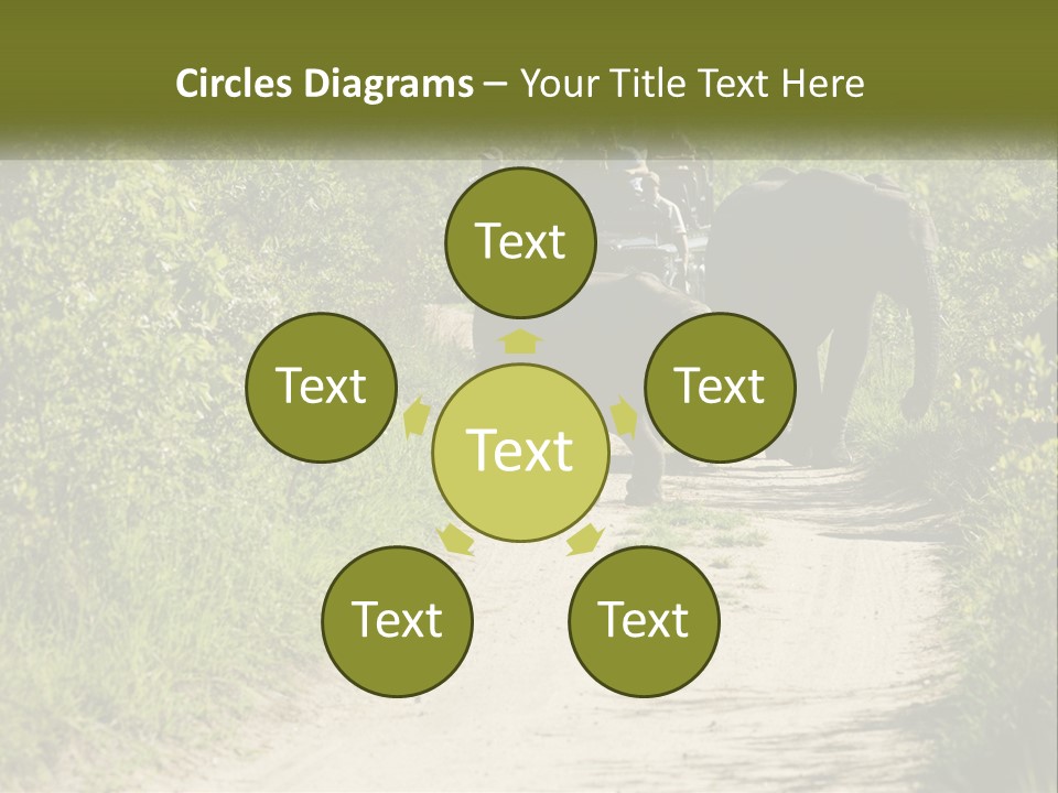 A Group Of Elephants Walking Down A Dirt Road PowerPoint Template